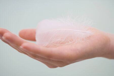 Featherの写真素材