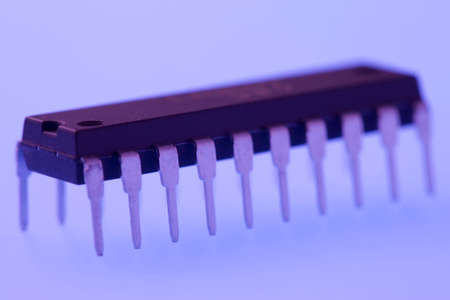 Chipの写真素材