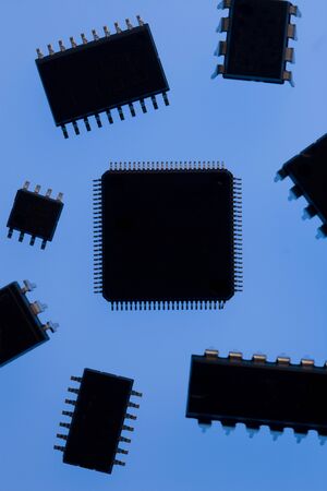 Chipの写真素材