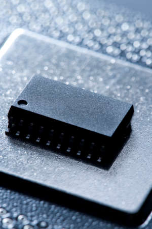 Chipの写真素材