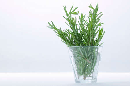 Rosemaryの写真素材