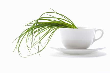 Chives