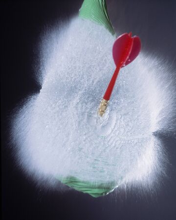 Momentの写真素材