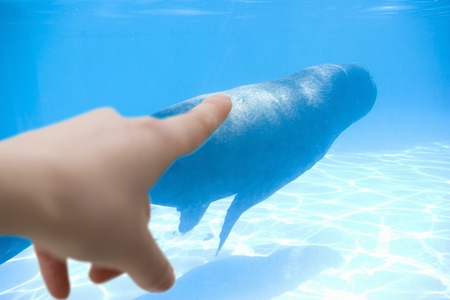 Aquarium imageの写真素材