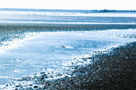 Flatsの写真素材