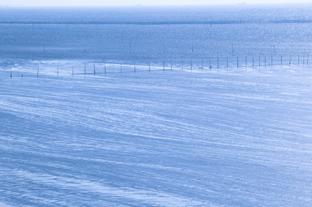 Flatsの写真素材