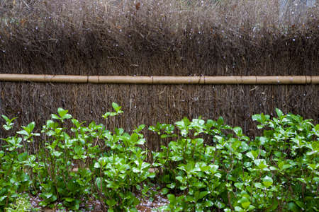 Fence