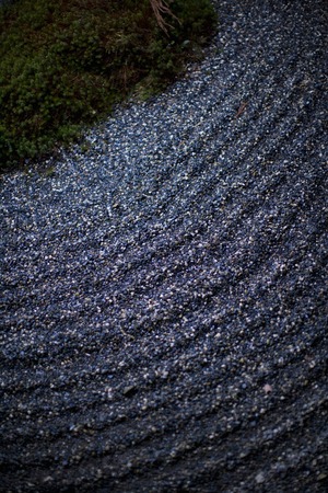 Japan gardenの写真素材