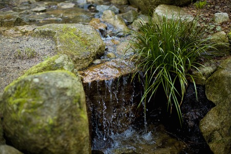 Japan gardenの写真素材