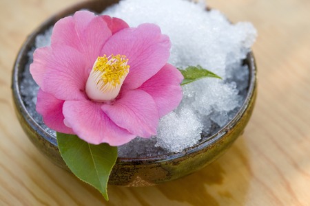 Camelliaの写真素材