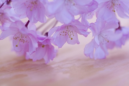 Hongshengの写真素材