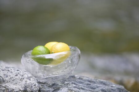 Freshの写真素材