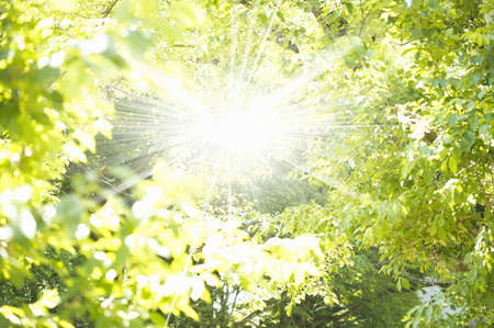 Summer imagesの写真素材