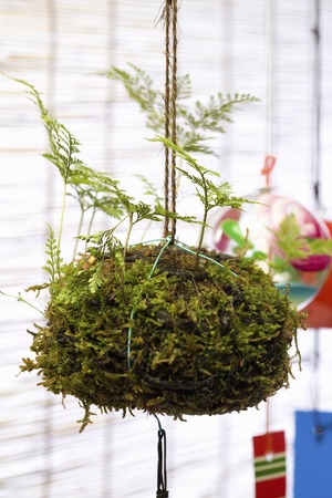 Wind chimesの写真素材