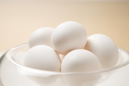 Egg