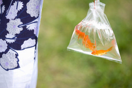 Goldfishの写真素材