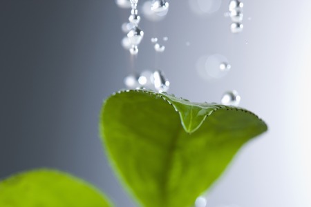 Rain images