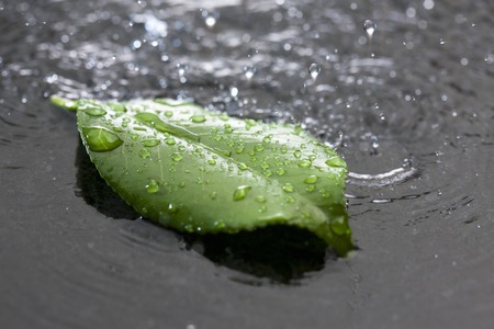 Rain imagesの写真素材