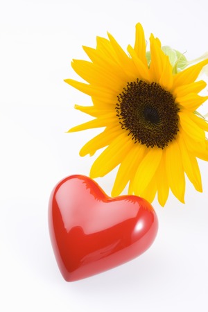 Heartの写真素材