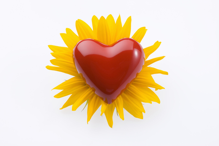 Heartの写真素材