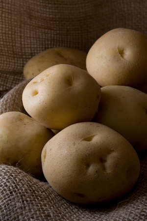 Potatoの写真素材