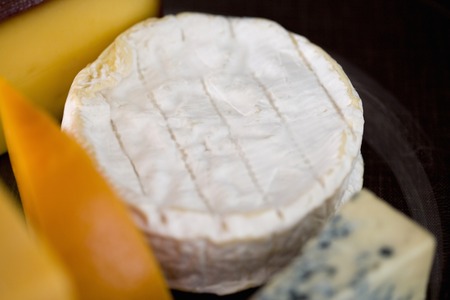 Camembert cheeseの写真素材