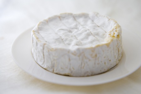 Camembert cheeseの写真素材