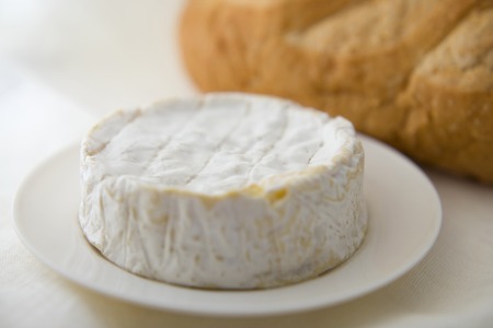 Camembert cheeseの写真素材