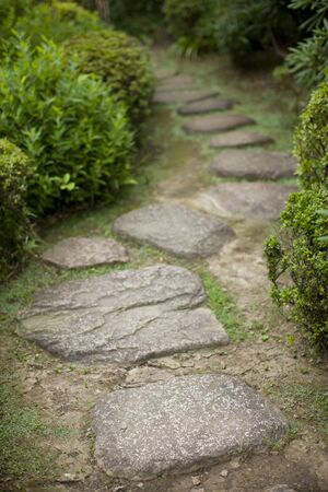 Japan gardenの写真素材