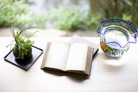 Readingの写真素材