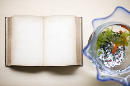 Reading