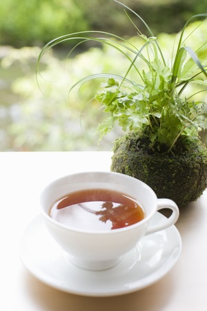 Teaの写真素材