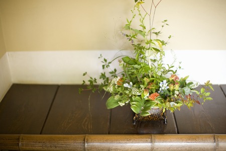 Flower arrangementの写真素材