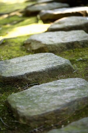 Paving stones
