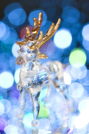 Reindeer