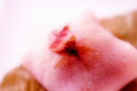 Mochiの写真素材