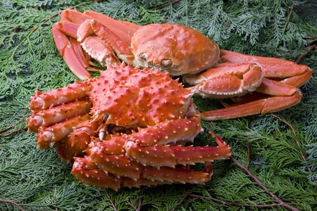 King crab and snow crabの写真素材