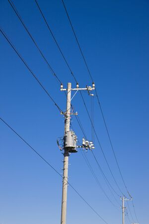 Electric wire