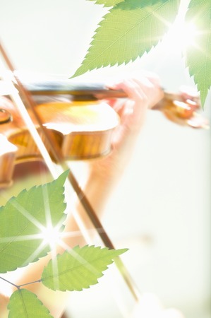 Image of a springの写真素材