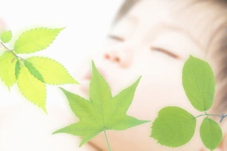 Babyの写真素材