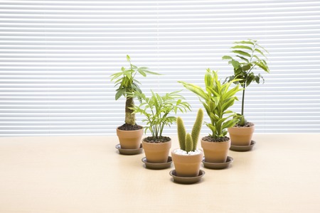 Echo imageの写真素材