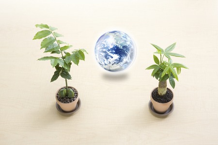 Echo imageの写真素材