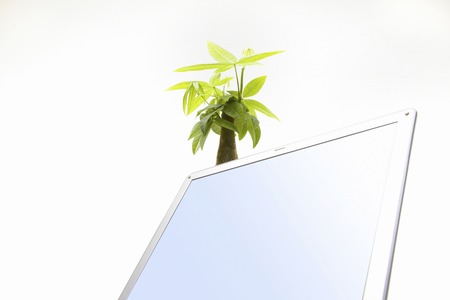 Echo imageの写真素材