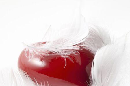 Heartの写真素材