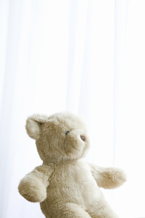 Teddy bearの写真素材