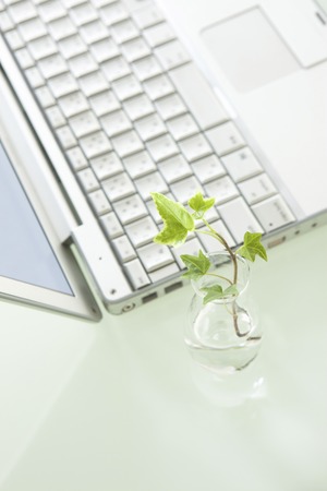 Laptop and ornamental plantsの写真素材