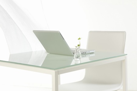 Laptop and ornamental plantsの写真素材