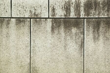 Exterior wall