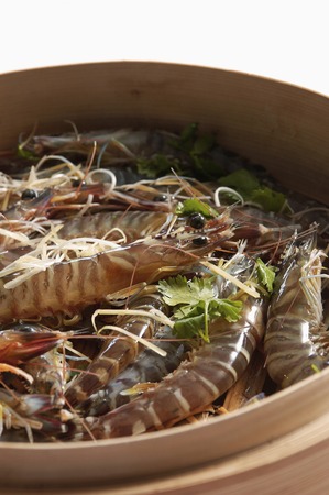 Shrimpの写真素材