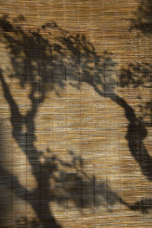 Silhouetteの写真素材
